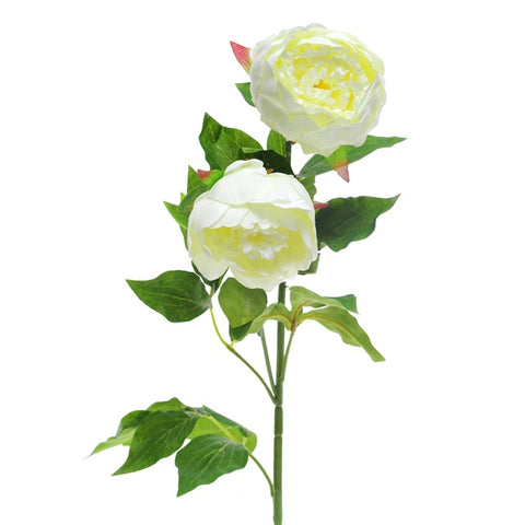 PEONY DOUBLE SPRAY CREAM