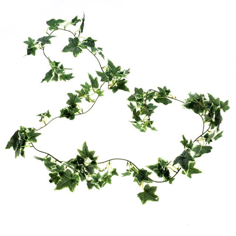 SMALL LEAF IVY VARIGATED 6FT GARLAND