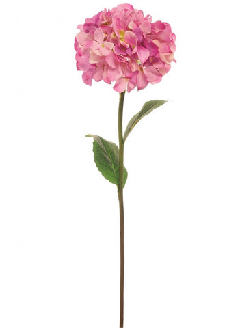 MOPHEAD HYDRANGEA BLUSH PINK