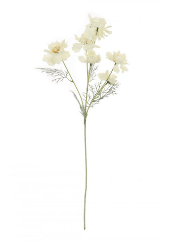 *FRILLY POPPY STEM CREAM
