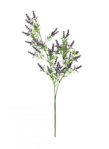 WILD LAVENDER SPRAY PURPLE