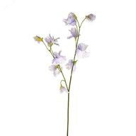 SKYE SWEETPEA SPRAY LILAC