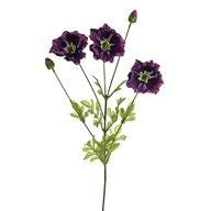 OLIVIA POPPY SPRAY PURPLE