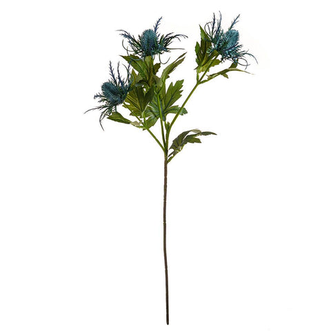 SEA HOLLY SPRAY AQUA