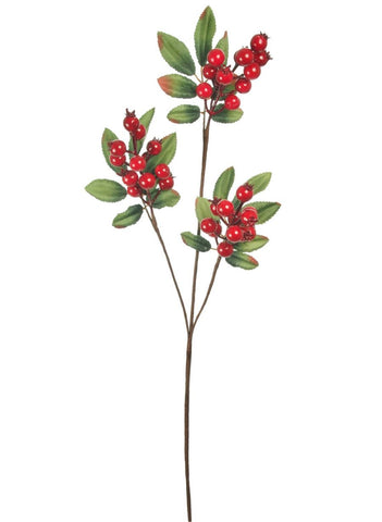 TRADITIONAL RED BERRY STEM