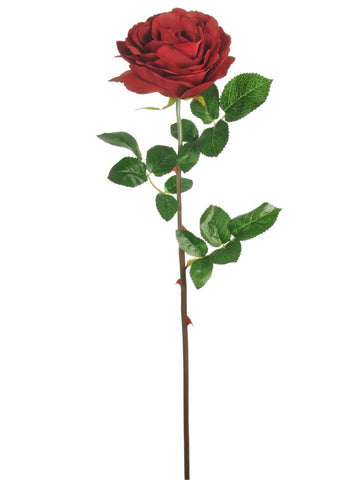 TUDOR ROSE RED