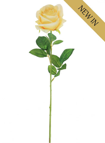 HARPER ROSE LEMON