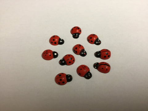 MINI LADYBIRD X10