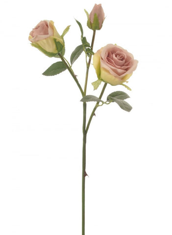 SAVANNA ROSE DUSKY PINK