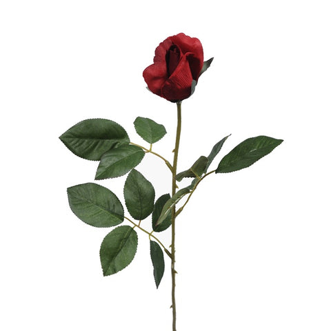 ROSE BUD PREMIUM RED SINGLE
