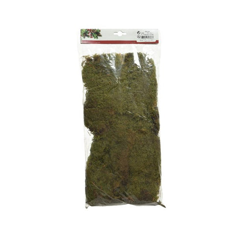 POOL MOSS PIECES IN BAG