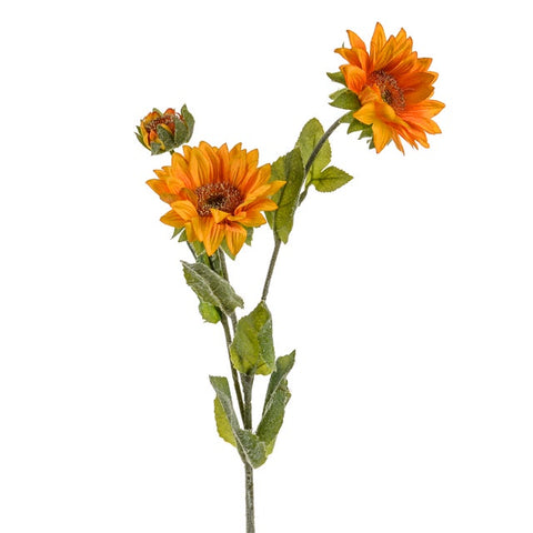 SUNFLOWER SUSAN SPRAY YELLOW