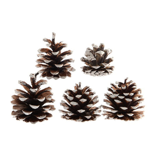 WHITE TIPPED CONES X5