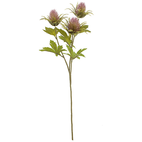 MAUVE TEASEL