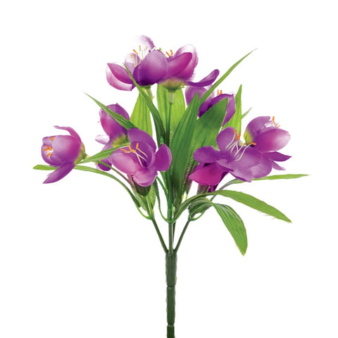CROCUS BUSH PURPLE