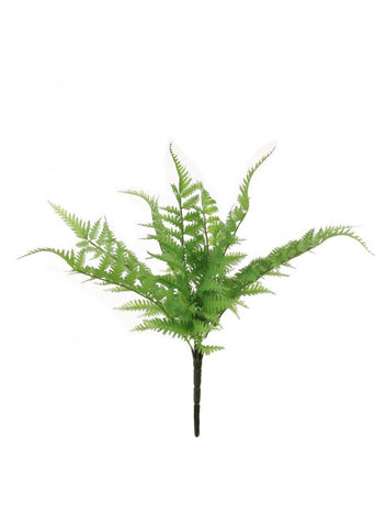 WILD FERN BUNCH