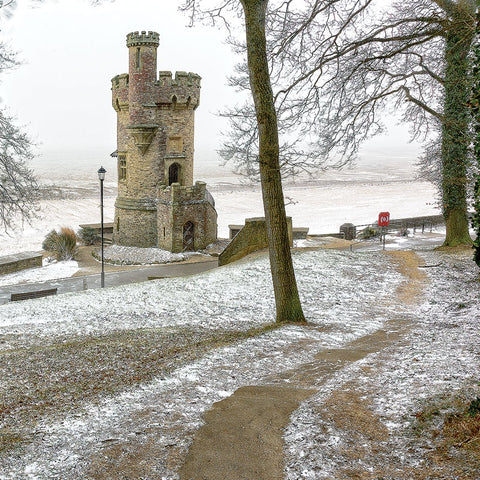COASTER - APPLEY TOWER IN SNOW