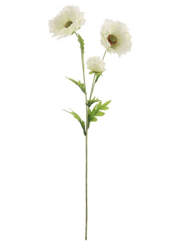 COUNTRY POPPY IVORY