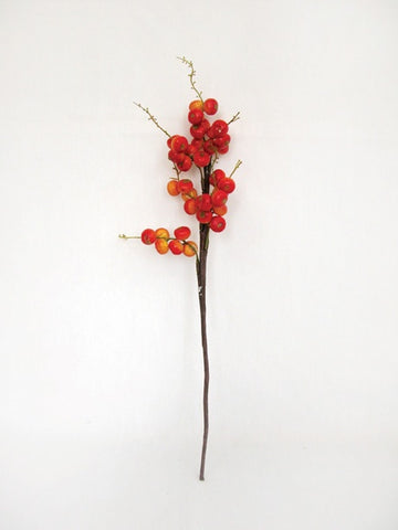BIRD BERRIES ORANGE
