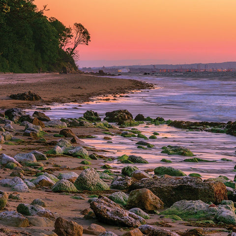COASTER PRIORY BEACH AT DAWN SEAVIEW