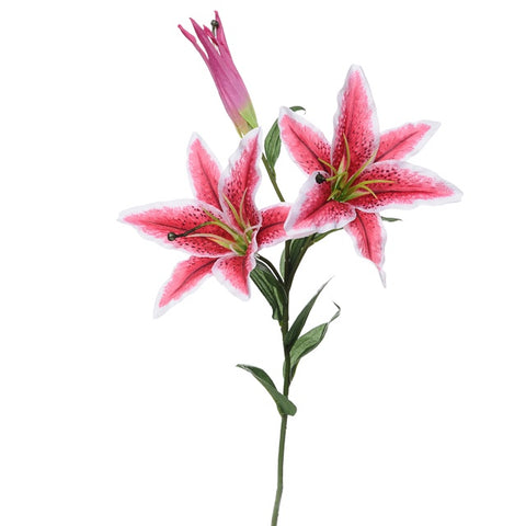 STARGAZER LILY PINK