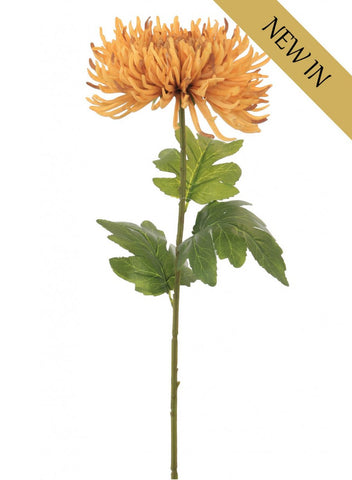 FUJI MUM STEM HONEY