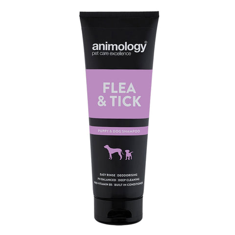 ANIMOLOGY FLEA AND TICK SHAMPOO 250ML