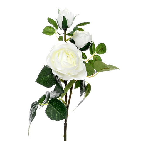 PRIZE ROSE SPRAY WHITE