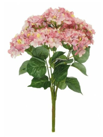 HYDRANGEA MOPHEAD PINK BUNCH