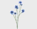 CORNFLOWER ON STEM BLUE