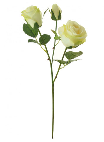 SAVANNA ROSE IVORY
