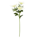 WILD ERYNGIUM SPRAY IVORY