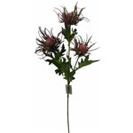 WILD ERYNGIUM SPRAY LILAC