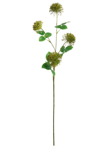 FIREBALL STEM NATURAL GREEN