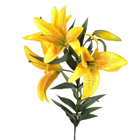 KING LILY YELLOW