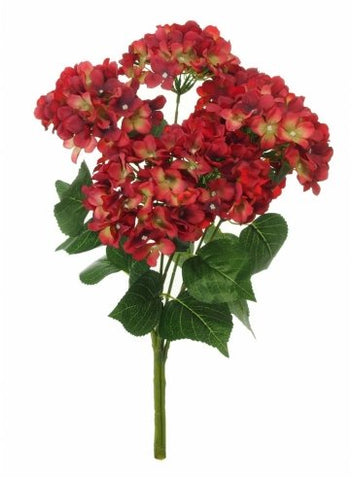 HYDRANGEA MOPHEAD RED BUNCH