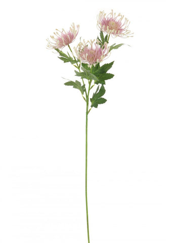 PROTEA SPRAY LILAC