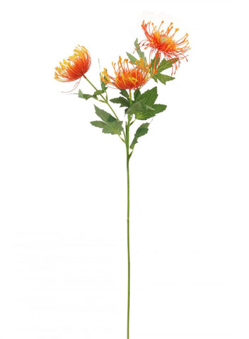 PROTEA SPRAY ORANGE