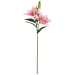 CHLOE LILY SPRAY VINTAGE PINK
