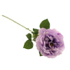 DAPHNE ROSE 64CMS LILAC