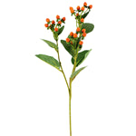 HYPERICUM BERRY SPRAY ORANGE