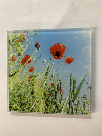 COASTER POPPY FIELD