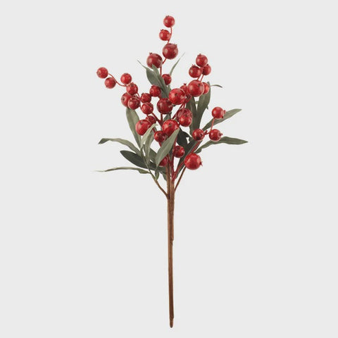 CRANBERRY GUM SPRAY 45CMS