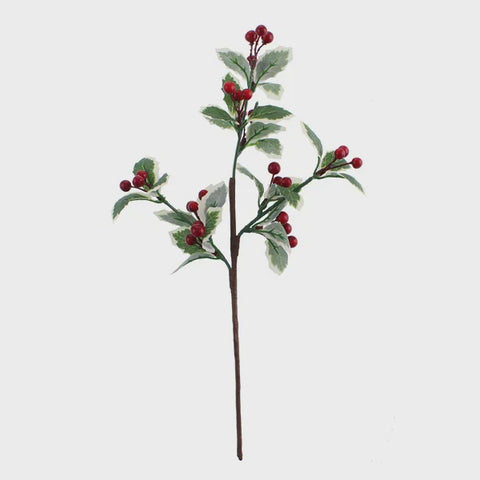 VARIGATED HOLLY SPRAY 34CMS
