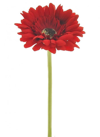 GERBERA RED