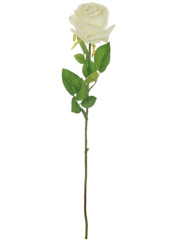 HARPER ROSE IVORY