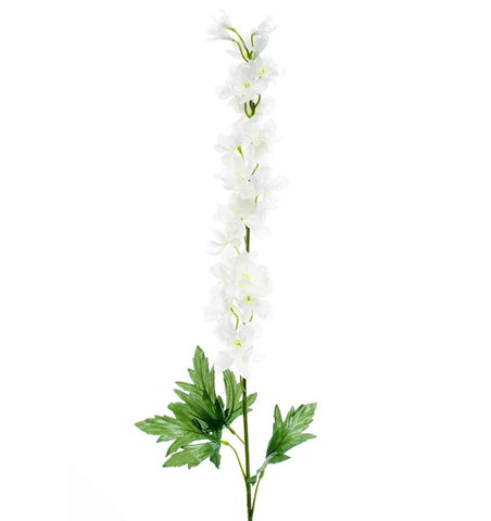 DELPHINIUM CREAM