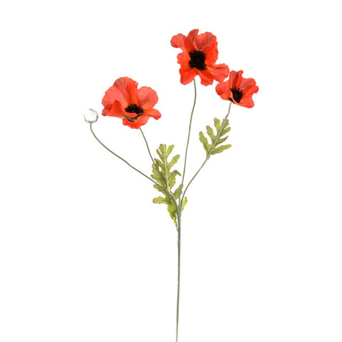 POPPY FLAME ORANGE