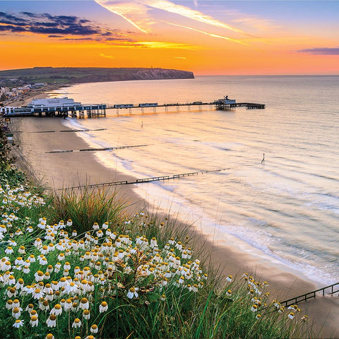 COASTER - SANDOWN AT DAWN