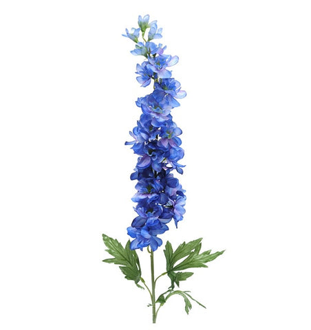 DELPHINIUM BLUE